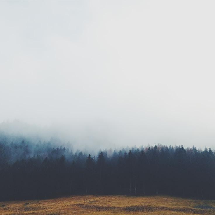 National parks landscape